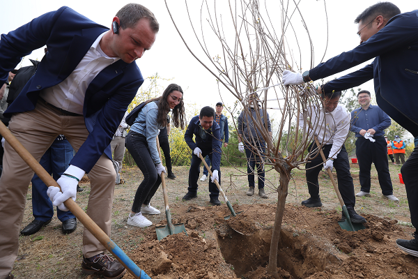 北京市科委、中关村管委会举办“同植友谊树，共话科创情”植树活动
