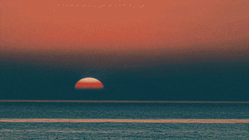 5.gif 5.gif