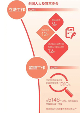 一图读懂全国人大工作2020成绩单