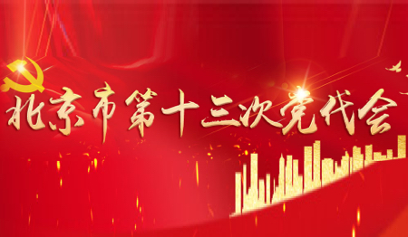 北京市第十三次党代会（已归档）