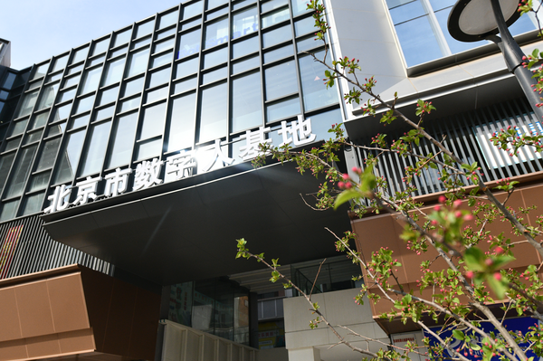  中关村朝阳园-北京市数字人基地楼宇海棠花沐春盛开。