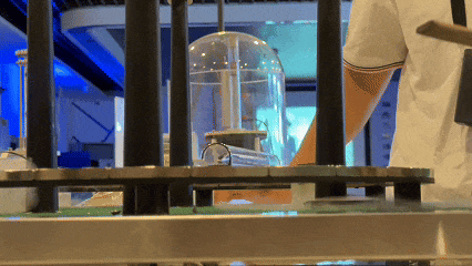 5.gif 5.gif
