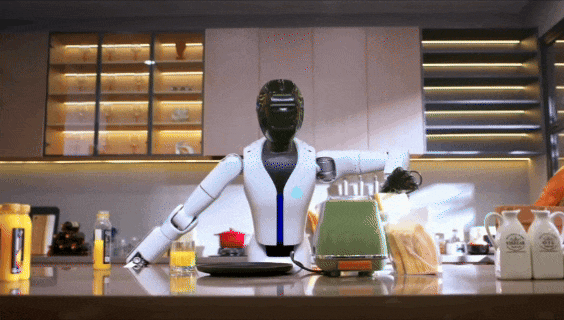 11.gif 11.gif