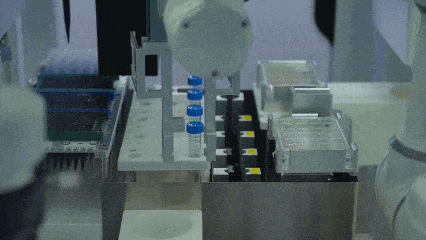 1.gif 1.gif