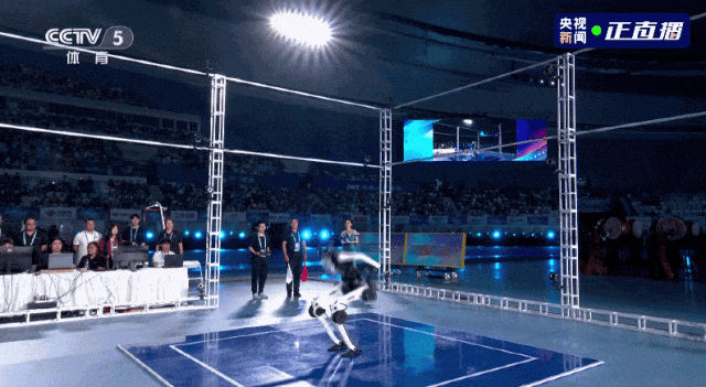 2.gif
