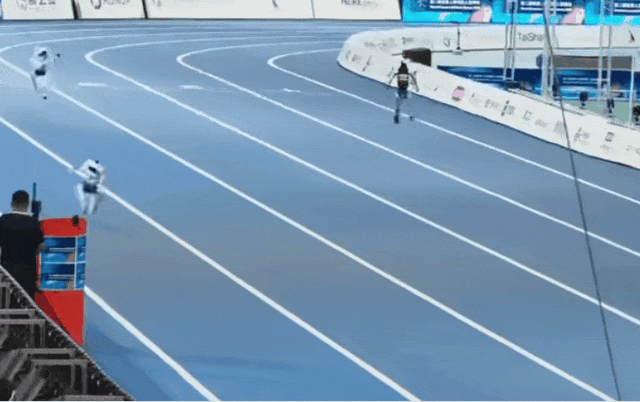 5.gif