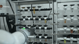 3.gif