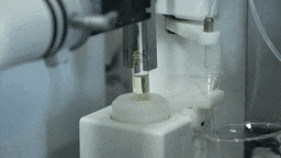 7.gif