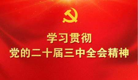 学习贯彻党的二十届三中全会精神